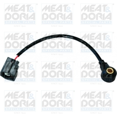 Knock Sensor